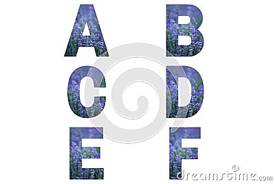 Lavender font Alphabet a, b, c, d, e, f made of lavender field. Stock Photo