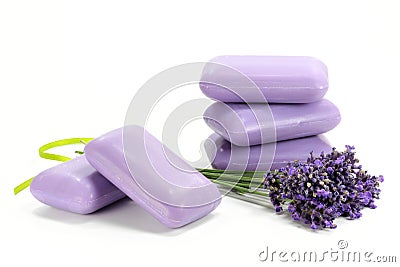 Lavender Stock Photo