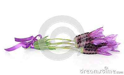 Lavender Herb Flower Posy Stock Photo