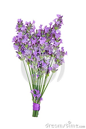 Lavender Herb Flower Posy Stock Photo