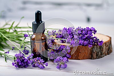 Lavender herbal oil and flowers on wooden background Stock Photo