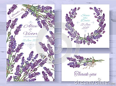 Lavender invitations set Vector Illustration