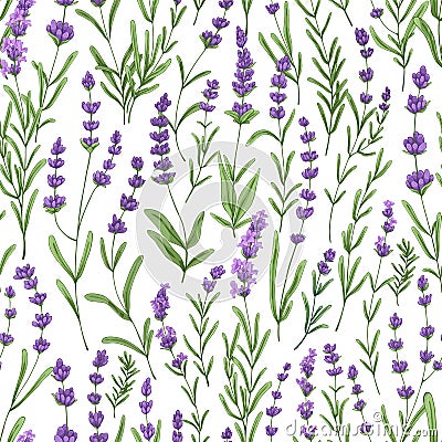 Lavender pattern with purple flowers and leaf. Seamless floral background, repeating print. Botanical repeatable texture Vector Illustration