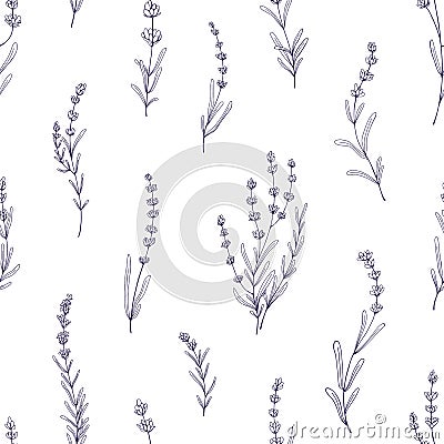 Lavender pattern. Seamless floral background, outlined lavendar flowers, branches. Repeating print, botanical texture Vector Illustration
