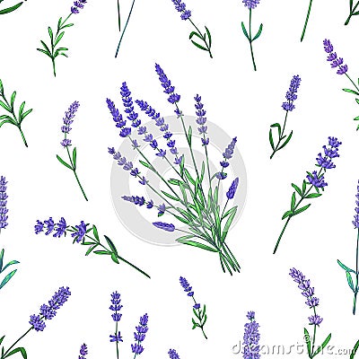 Lavender pattern. Seamless France garden herbal print with flowers bouquets. Decorative floral background. Summer Vector Illustration