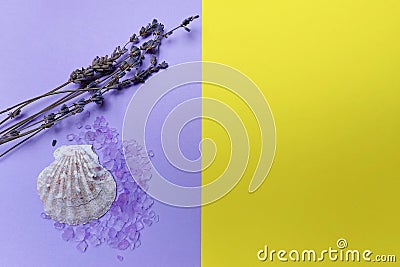 Lavender, purple bath salt, shell on a two-tone background. Yellow-purple background. Space text. Stock Photo