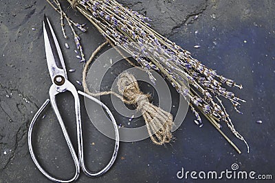 Lavender, rustic twine and pruning shears Stock Photo