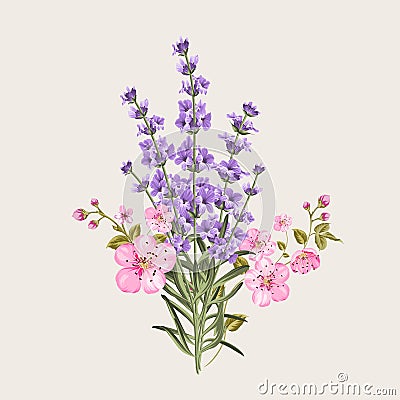 Lavender and sakura flowers. Vector Illustration