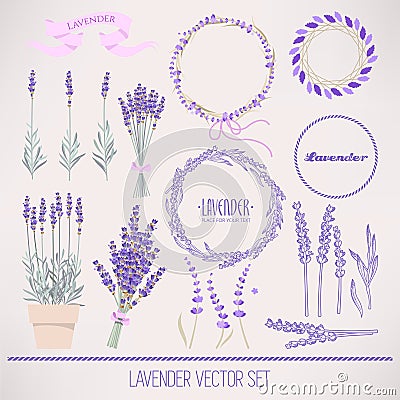 Lavender set Vector Illustration