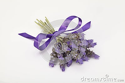 Lavender Stock Photo