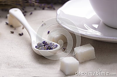 Lavender tea in white ceramic spoon with pieces of sugar, textile background. Stock Photo