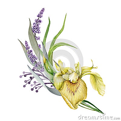 Lavender, yellow garden iris and wild meadow flowers watercolor design spring bouquet. Meadow grass greenery. Floral Stock Photo