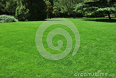 Lawn Stock Photo