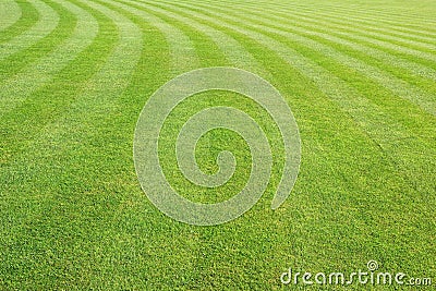 Lawn Stock Photo