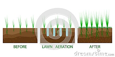 Lawn aeration process steps - before and after. Lawn aeration. Gardening grass lawncare, landscaping service Stock Photo