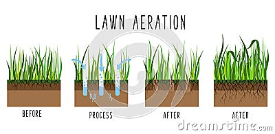 Lawn Care Vector Vector Illustration