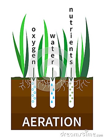 Lawn aeration process vector illustration. Concept of lawn grass care, gardening service, benefits of aeration. Water Vector Illustration