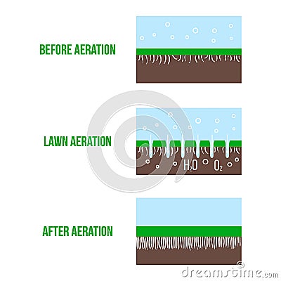 Lawn aeration stage illustration. Gardening grass lawncare, landscaping service. Vector isolated on white Vector Illustration