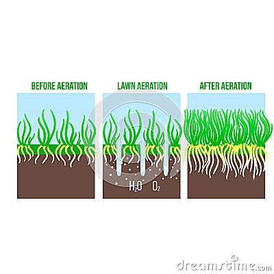 Lawn aeration stage illustration. Gardening grass lawncare, landscaping service. Vector isolated on white Vector Illustration