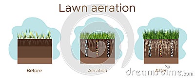 Lawn care - aeration and scarification. Labels by stage-before, during, and after. Intake of substances-water, oxygen Vector Illustration