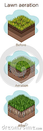 Lawn care - aeration and scarification. Labels by stage-before, during, and after. Intake of substances-water, oxygen Vector Illustration