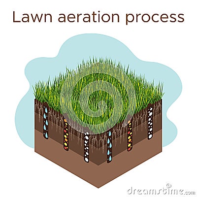 Lawn care - aeration and scarification. Labels by stage-during. Intake of substances-water, oxygen, and nutrients to Vector Illustration