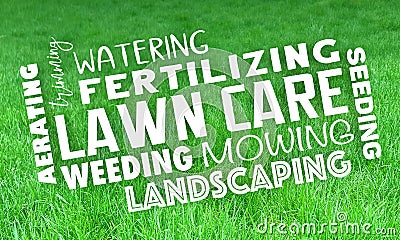 Lawn Care Service Landscaping Mowing Grass Trimming 3d Illustration Stock Photo