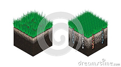 Lawn care, soil isometry, stages before and after aeration. Effect on the intake of substances - water, oxygen and Vector Illustration
