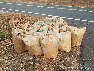 Lawn debris and maintenance bags on curb near road Stock Photo