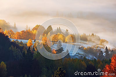 The lawn is enlightened by the sun rays. Majestic autumn rural landscape. Fantastic scenery with morning fog. Carpathians valley. Stock Photo