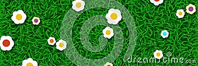 Lawn grass with flowers Vector Illustration