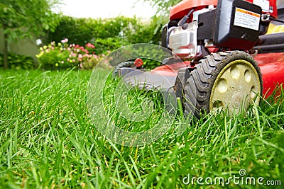 Lawn mower. Stock Photo