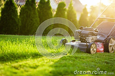 Lawn mower cutting green grass in sunlight Stock Photo