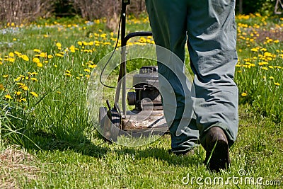 Lawn mowing Stock Photo
