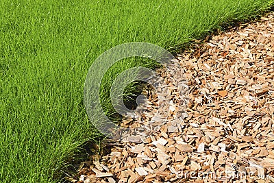 Lawn Stock Photo