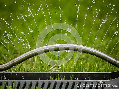 Lawn sprinkler Stock Photo