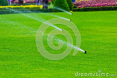 Lawn sprinkler spaying water over green grass. Irrigation system Stock Photo