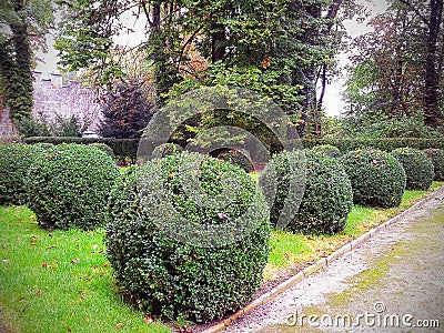 Lawn with trimmed round bushes in English garden of Hluboka Nad Editorial Stock Photo