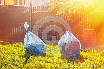 On the lawn are two bags of garbage removed .Tint and light Stock Photo