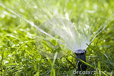 Lawn water sprinkler spraying water over grass in garden on a hot summer day. Automatic watering lawns. Gardening and environment Stock Photo