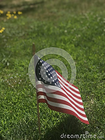 America the beautiful- American flag on the lawn Stock Photo