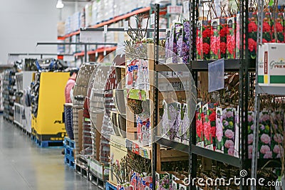 Costco wholesale warehouse shopping aisle for flowers Editorial Stock Photo