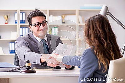 The lawyer discussing legal case with client Stock Photo