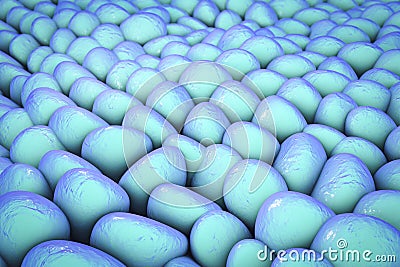 Layer of human cells Cartoon Illustration