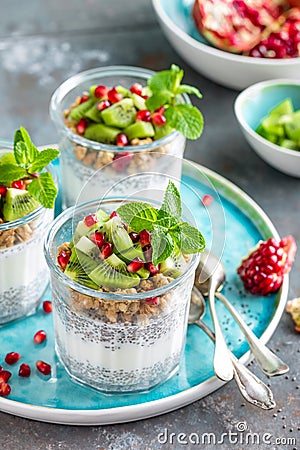 Layered chia pudding parfait with kiwi fruit, pomegranate, granola and yogurt Stock Photo