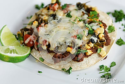 Layered Vegetable Enchiladas Stock Photo