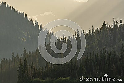 Layers of Forests Converge With Shafts of Light In The Distance Stock Photo