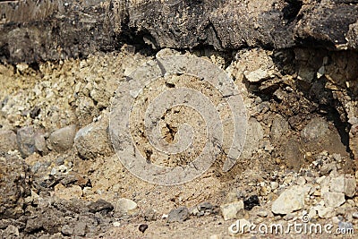 layers in the ground, telling the story of the construction the road in Gatchina. Visible layer stone rubble age 250 years - the Stock Photo