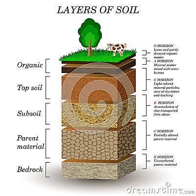 Layers of soil, education diagram. Mineral particles, sand, humus and stones Vector Illustration