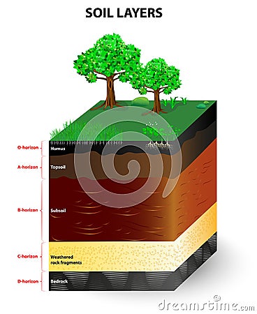 Layers of a soil profile Vector Illustration